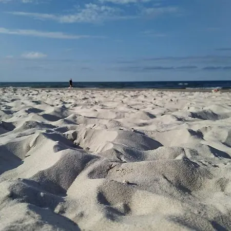 Trimare Blue アパート *