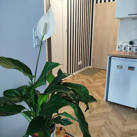 Trimare Blue * Sztutowo