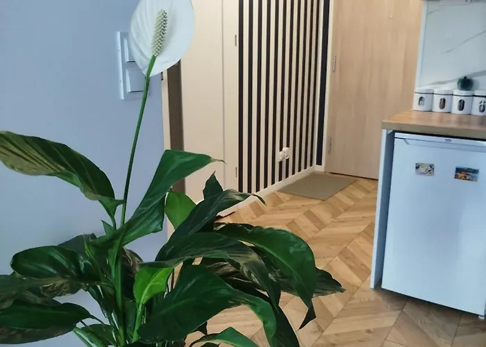 Trimare Blue * Sztutowo